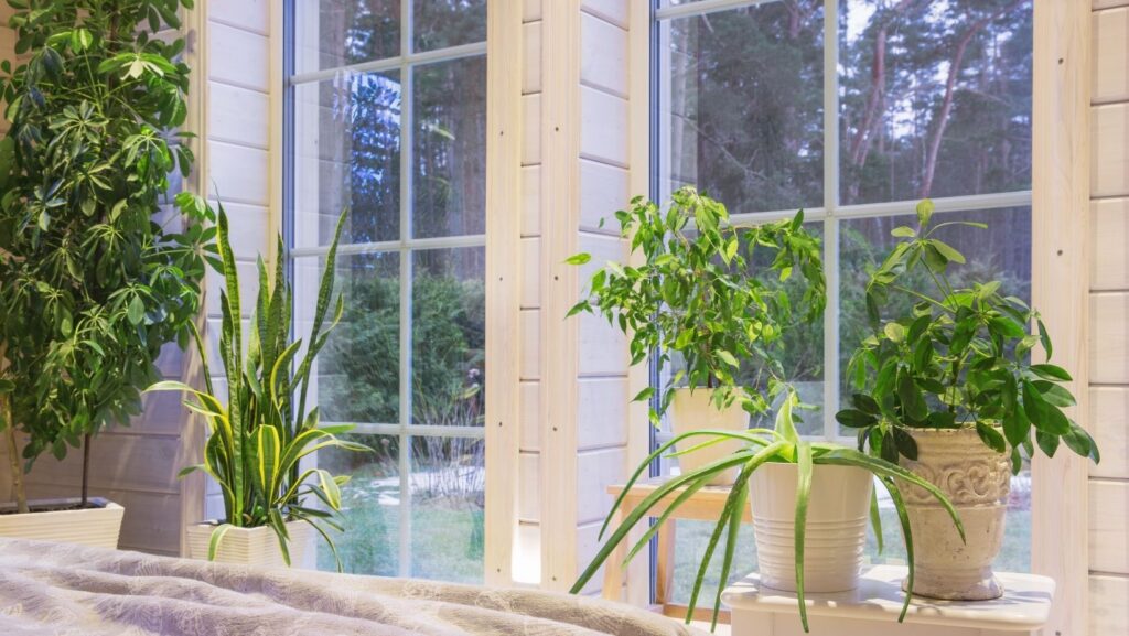 living room with greenery