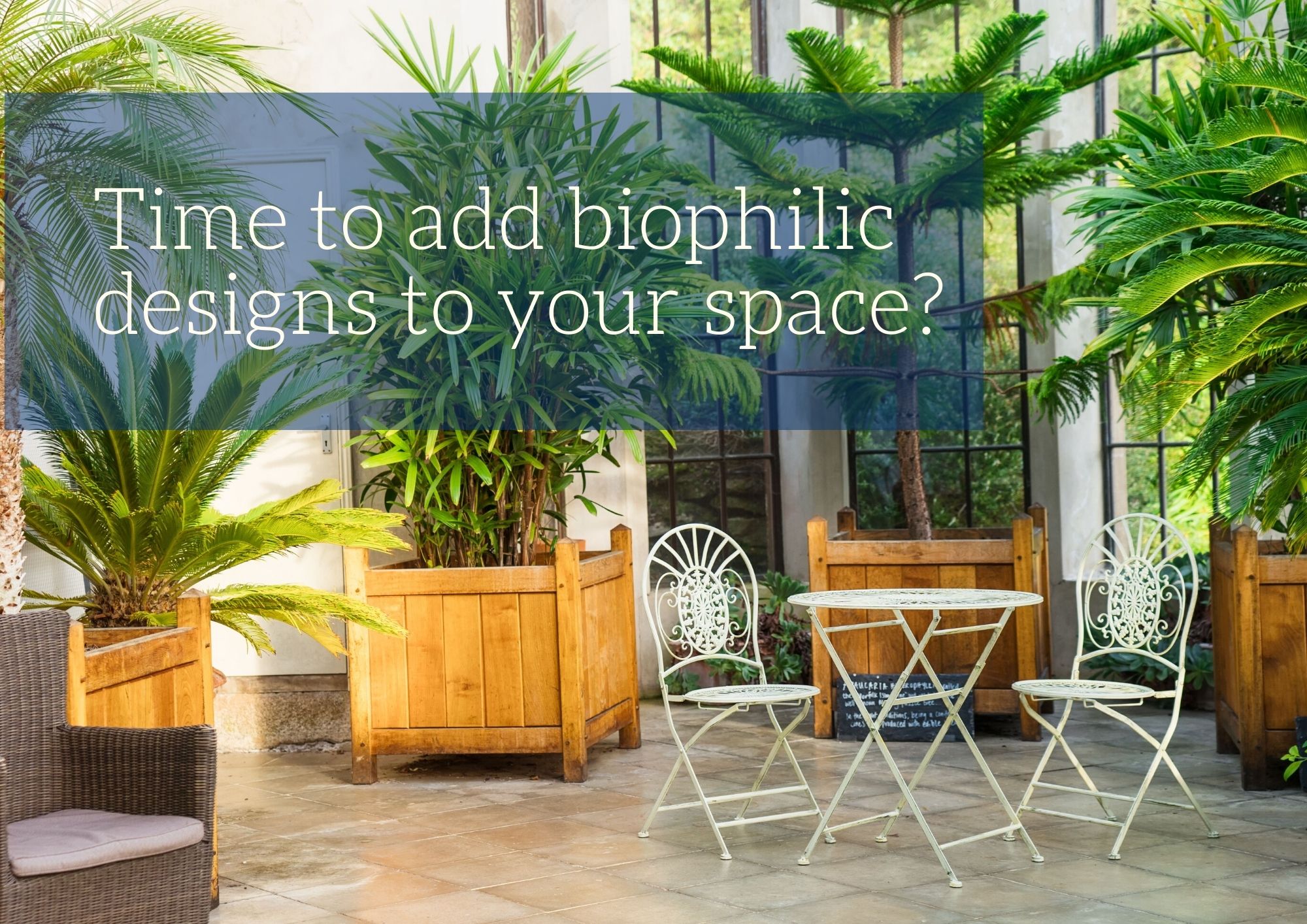 Time to add biophilic designs to your space_