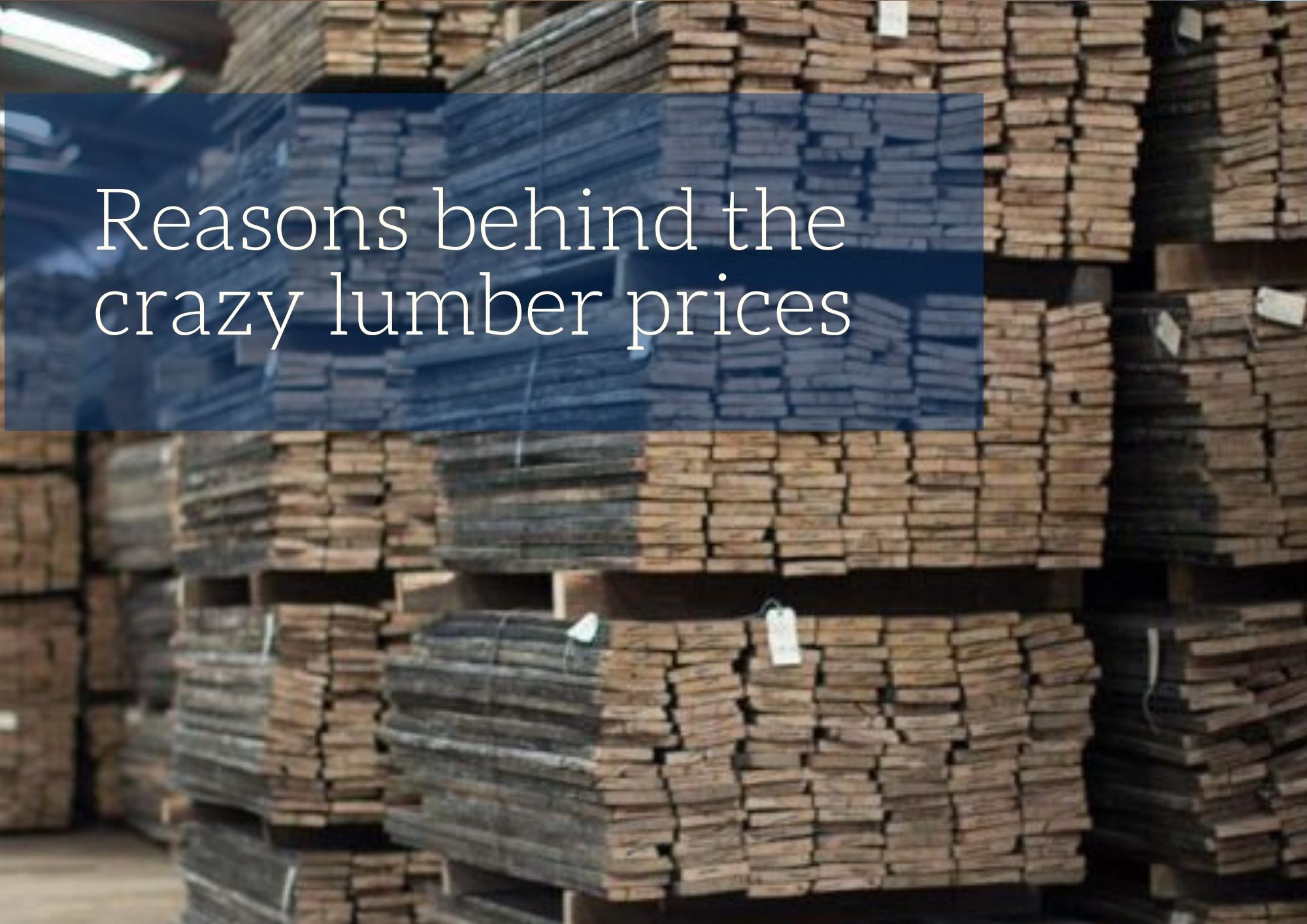 Reasons behind the crazy lumber prices