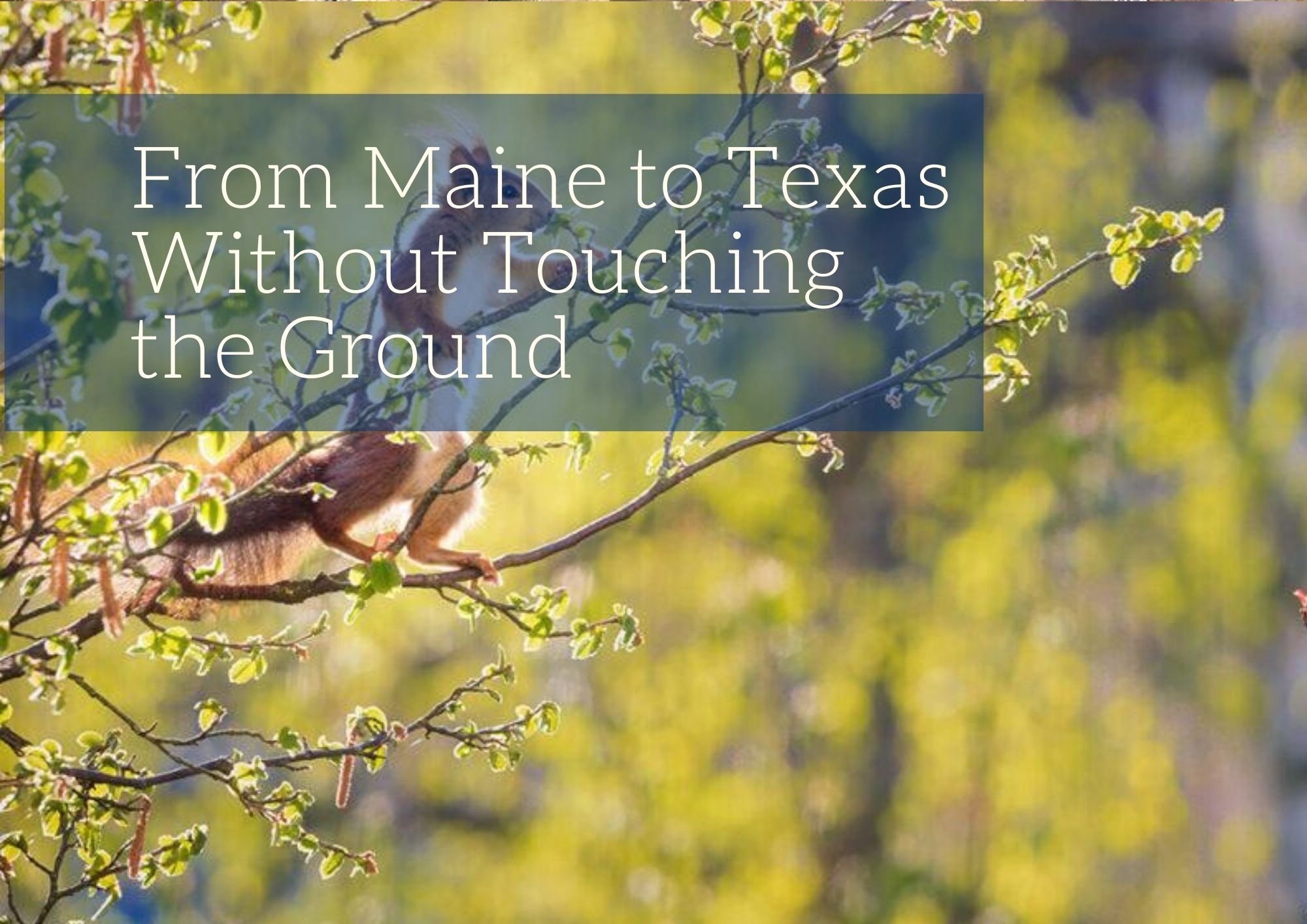 From Maine to Texas Without Touching the Ground