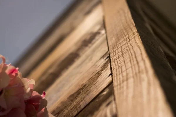 A close up of a pink flower on a wooden wall