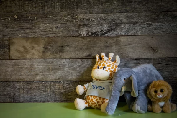 A giraffe and a lion are sitting on a wooden table