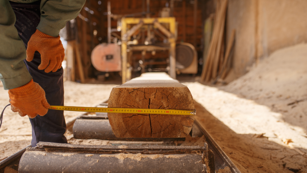 A man measuring a wooden log