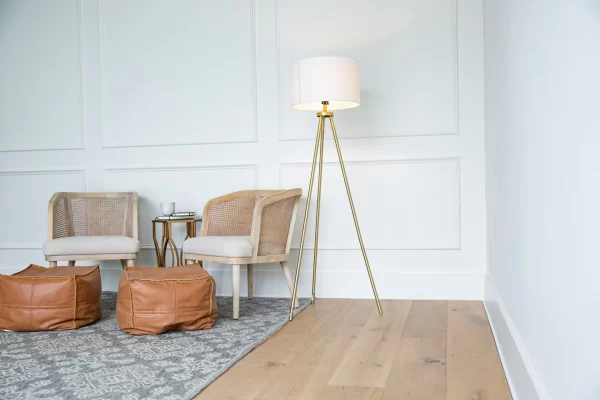 A living room with two chairs and a floor lamp