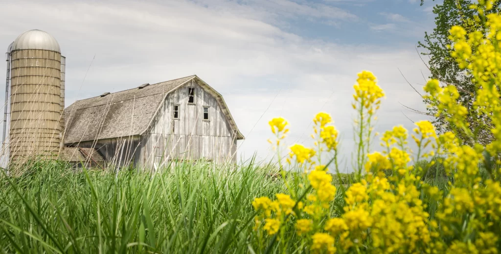 an old barn