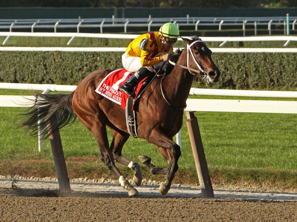 A horse racer riding his horse in kentucky derby