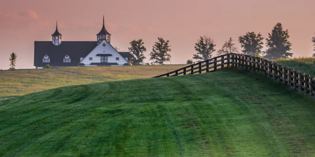 a big horse farm in the bluegrass state in Kentucky