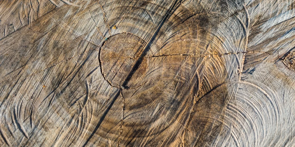 a knotty piece of wood