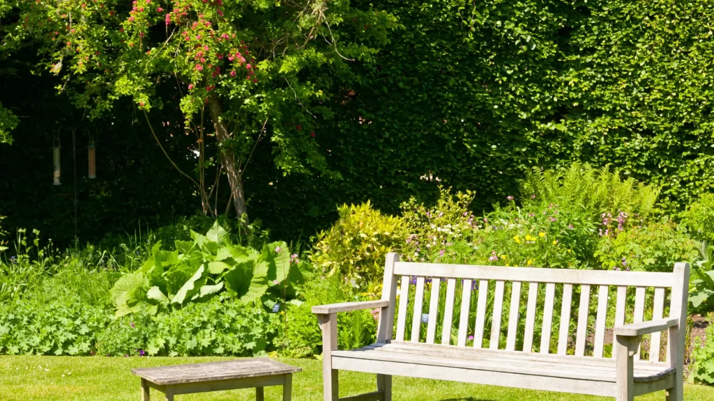 white wooden bench