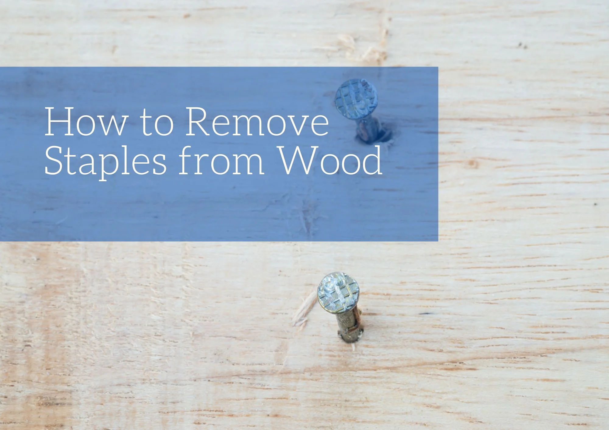 How to Remove Staples from Wood