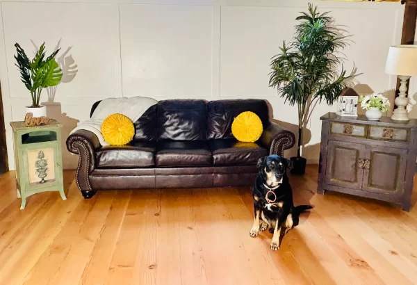 douglas fir vertical grain flooring with a tree, sofas and a lamp