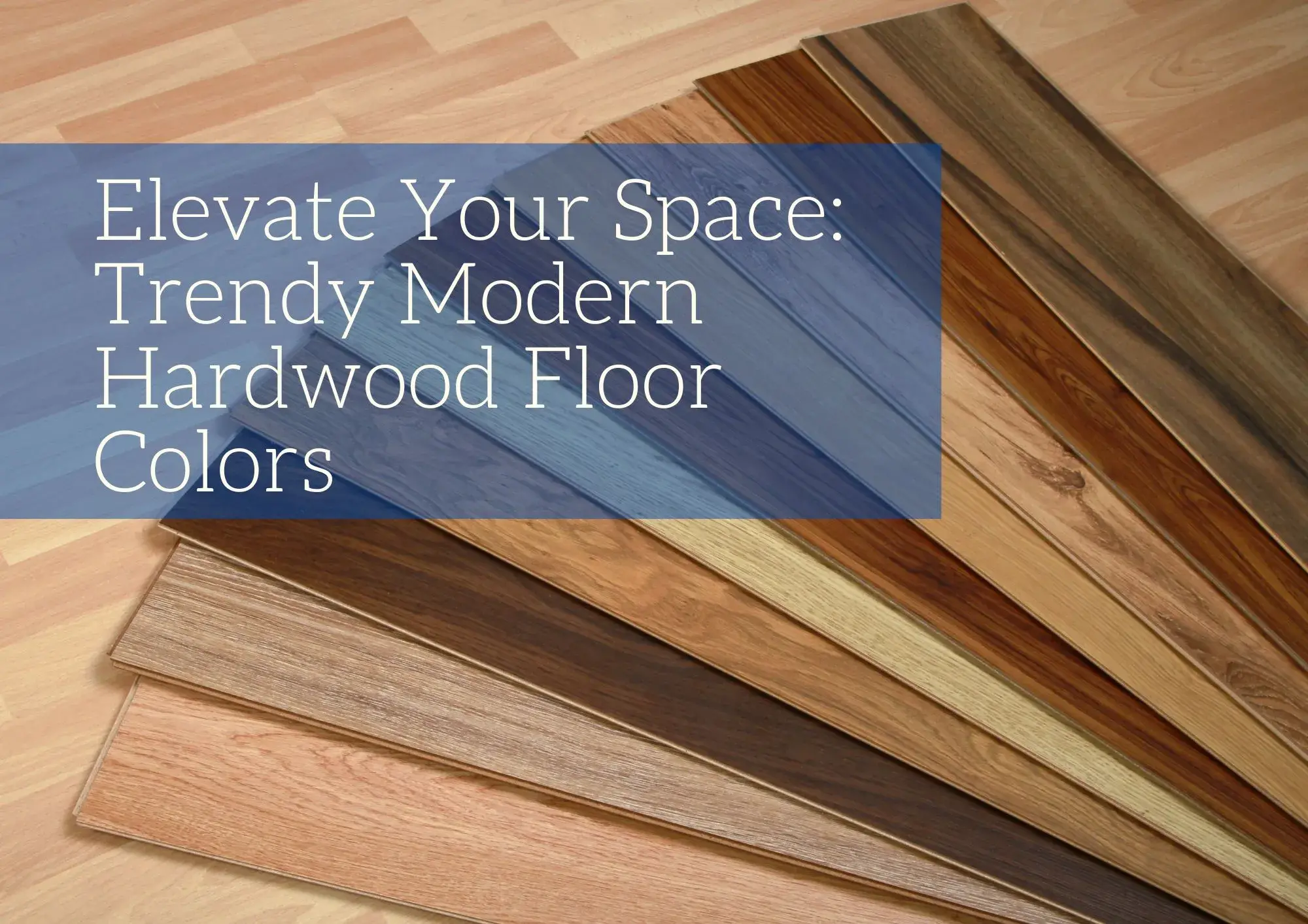 Trendy Modern Hardwood Floor Colors