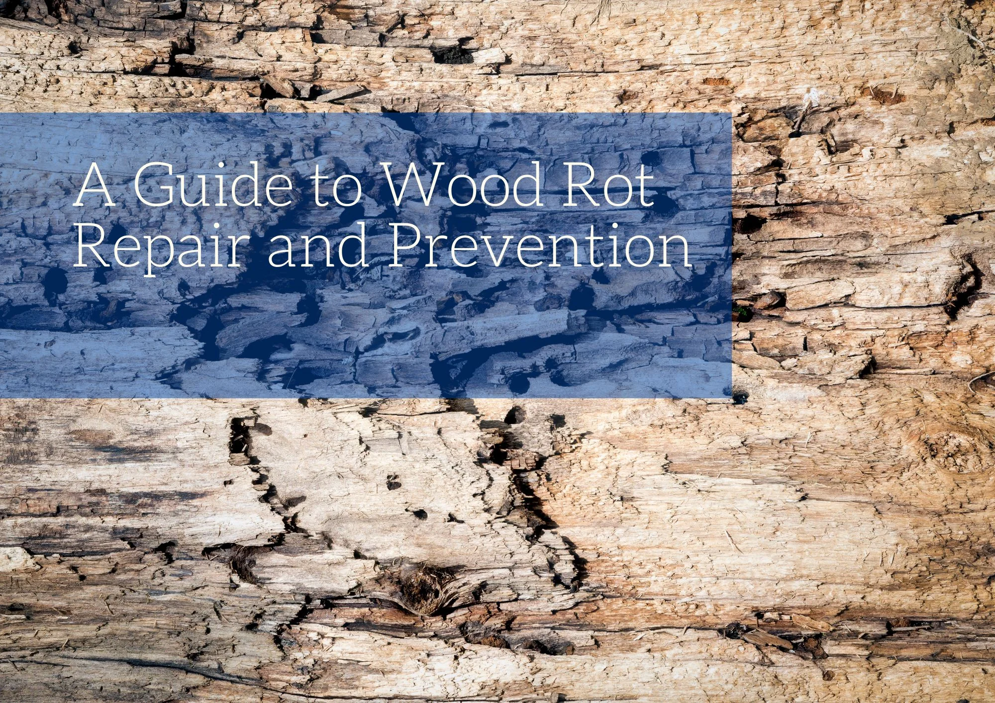 A Guide to Wood Rot Repair and Prevention