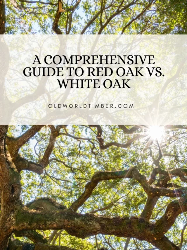 A Comprehensive Guide to Red Oak vs. White Oak