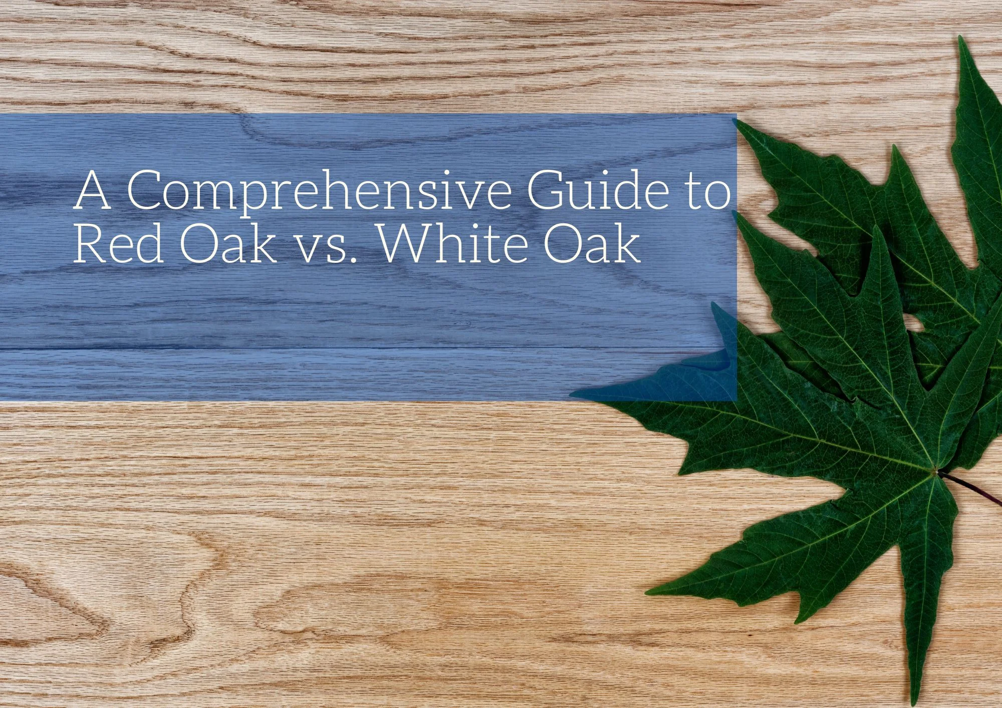 A Comprehensive Guide to Red Oak vs. White Oak
