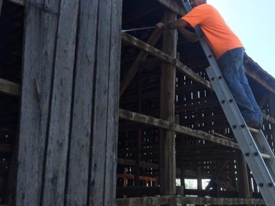 The process of removing boards from an antique tobacco barn in order to reclaim the timbers and planks