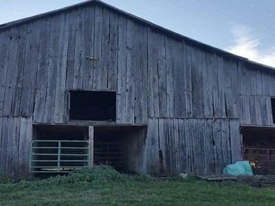 an old antique gray barn ready to be recycled, reclaimed and repurposed into interior design products to last for many more years