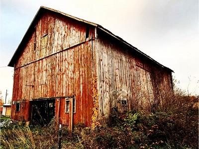 An old antique red barn being recycled, reclaimed and repurposed into interior design products to last for many more years